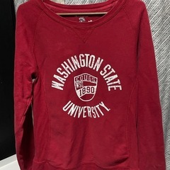 チャンピオン　古着　トレーナー　