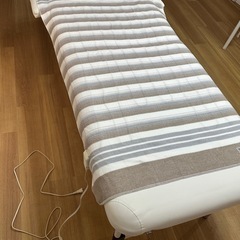 【美品】Sugiyama 電気敷き毛布 140×80cm 日本製 洗える 頭寒足熱 ダニ退治 室温センサー NA-023Sの画像
