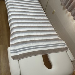 【美品】Sugiyama 電気敷き毛布 140×80cm 日本製 洗える 頭寒足熱 ダニ退治 室温センサー NA-023Sの画像