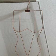 【美品】メタルワイヤーボディシェイプビキニ水着ハンガードレスホルダーランジェリーラック水着ハンガー&ショーツハンガーセットの画像