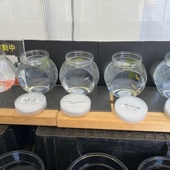 無人販売メダカ補充しましたの画像