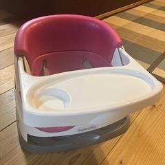 ingenuity の画像