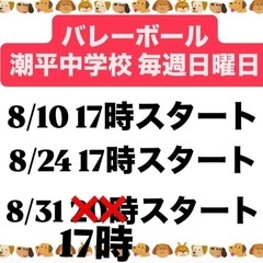 個人参加型バレーボール　ちむドンドン　8月日程