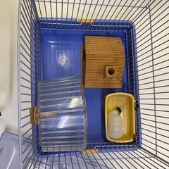 ハムスターや小動物の飼育箱、ゲージ（中古）の画像