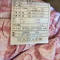 ASAOのゴア トレニア（新品）