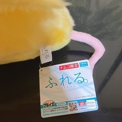 ぬいぐるみ①の画像
