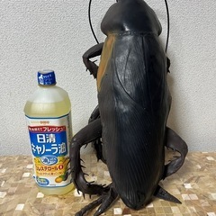 【中古】おおきなゴキブリ おもちゃ ゴム製 全長約50cmの画像