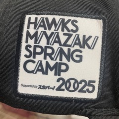 ソフトバンクホークスのキャップの画像