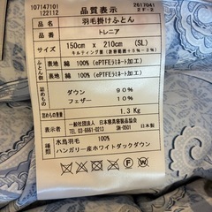 ASAOのゴア トレニアの画像