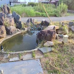 庭石、無料でお譲りしますの画像
