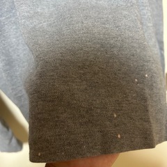Polo Ralph Lauren ハーフジップの画像