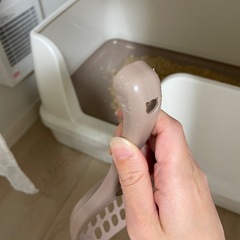 デオトイレワイド(中古)の画像