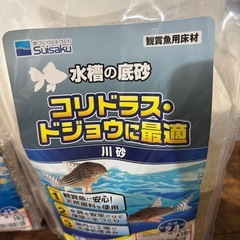 熱帯魚　水槽
の画像