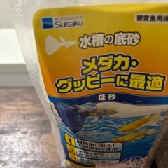 熱帯魚　水槽
の画像