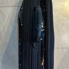 bags EFAS F-BLK ハードケース/アルトサックス用 バッグスの画像