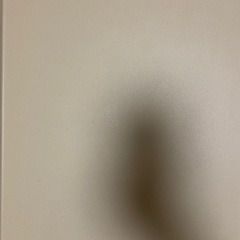 IKEA ビョルコーセンの画像