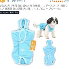 小型犬術後服の画像