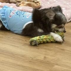 暇な時のLINE友達募集 - 大阪市