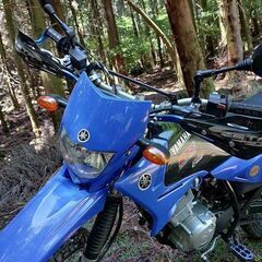 2015年製　XTZ125 カスタムしています。の画像