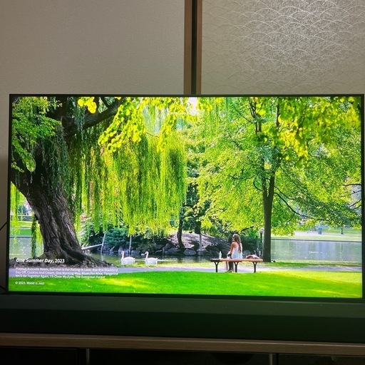 【取引者決定】【2022年製】TOSHIBAREGZA 50Z570L