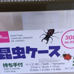 ＊ダイソー　昆虫ケース＊数時間使用の画像
