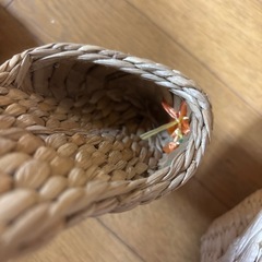 稾サンダル？スリッパ？3足の画像