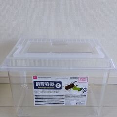 ＊ダイソー　飼育ケース＊数時間使用　お譲りしますの画像