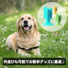 【新品】ワンちゃん用 デンタルトイ 歯ブラシ サボテン型 イエローの画像