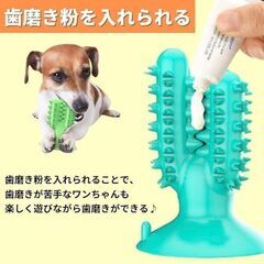 【新品】ワンちゃん用 デンタルトイ 歯ブラシ サボテン型 イエローの画像