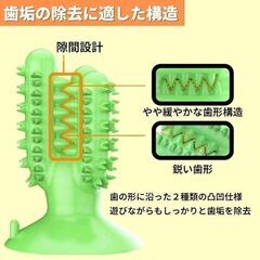 【新品】ワンちゃん用 デンタルトイ 歯ブラシ サボテン型 イエローの画像