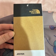 新品　THE NORTH FACE JESTER リュック　紫の画像