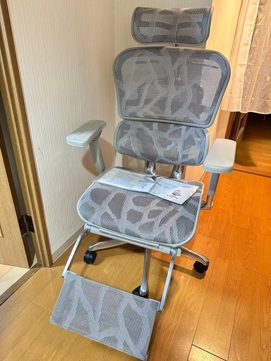 エルゴヒューマンプロ オットマン付  ハンガー　ZBメッシュ特注