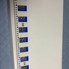 ダイワ(DAIWA) クーラーボックス ライトトランクα 32リットルの画像