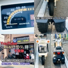 HONDAジャイロX TD01 加速好調♪綺麗な車両です^_^の画像