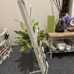 決まった　スリッパラックの画像