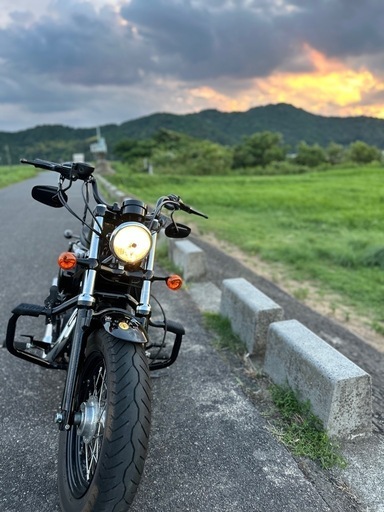 ハーレー　フォーティーエイト