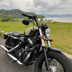 ハーレー　フォーティーエイトの画像