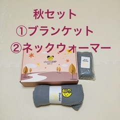 ちょこザップ初めてキット　夏、秋、体重計、管理用ヘルスウォッチの画像