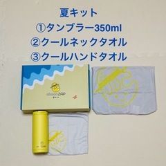 ちょこザップ初めてキット　夏、秋、体重計、管理用ヘルスウォッチの画像
