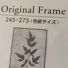 【美品】 額縁 フレーム 色紙サイズの画像