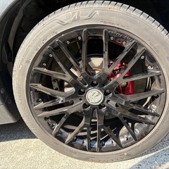 カールソン　の画像