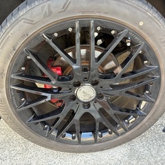 カールソン　の画像