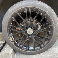 カールソン　の画像