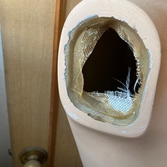 マネキン　腕なし　画像確認の上購入くださいの画像