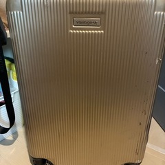 100Lスーツケースの画像