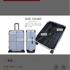 100Lスーツケースの画像