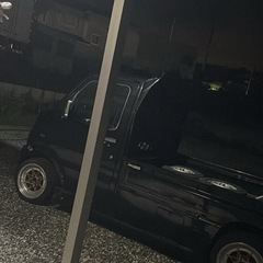 スターシャークの画像
