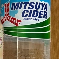 ビール9本・ノンアルチューハイ1本　オマケ付きの画像