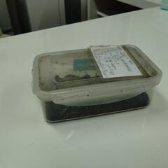 オオクワガタ飼育ケース譲ります。の画像