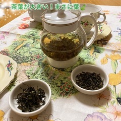 美味しい紅茶の淹れ方　九月のレッスンの画像